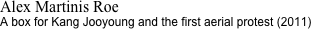 Alex Martinis Roe
A box for Kang Jooyoung and the first aerial protest (2011)
